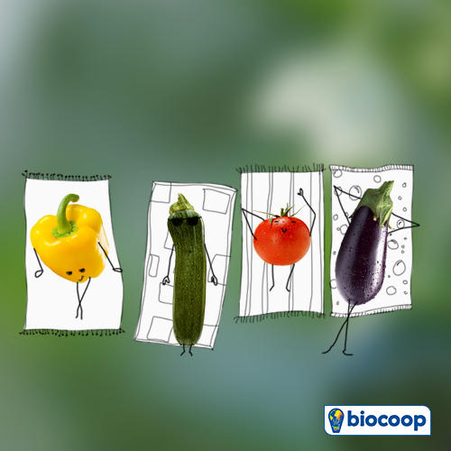 Les légumes d'été des mois de juillet et août Les légumes d'été des mois de juillet et août