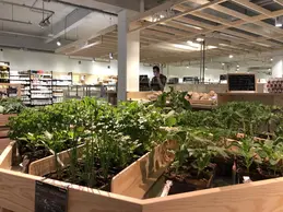 139-biocoop-bron-porte-des-alpes-magasin-bio-plante-aromate.webp