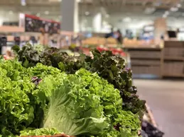 139-biocoop-bron-porte-des-alpes-magasin-bio-salade-legume-vert.webp