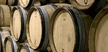 Le vin Bio désalcoolisé, une tendance qui a du goût !